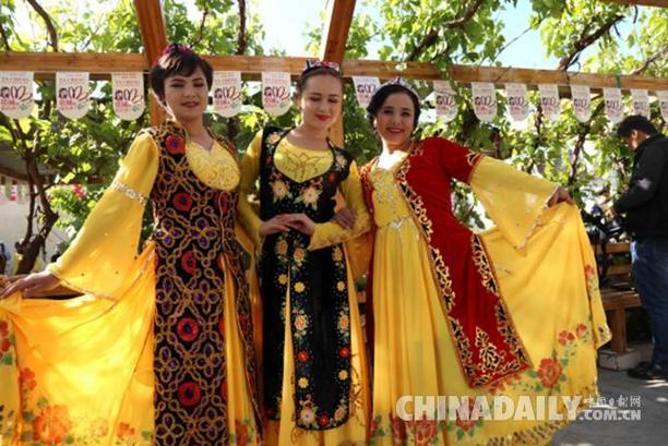 塔城的山花开了：新疆乌苏八十四户乡风情图集