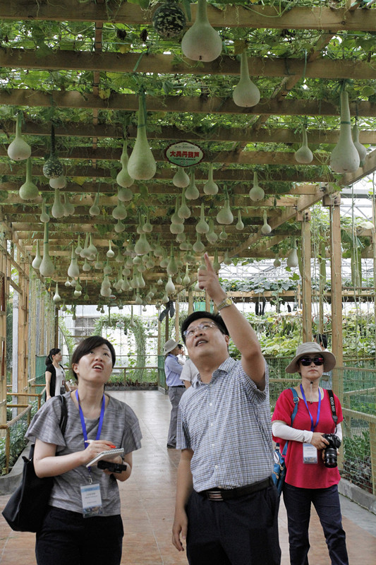 日本韩国媒体走进寿光市 探访现代化农业发展体系