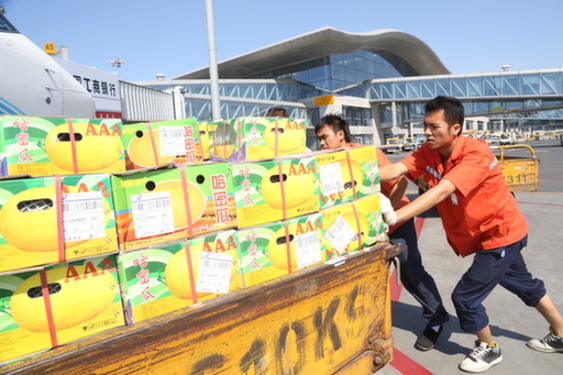 南航新疆：民航货运供给侧改革小样