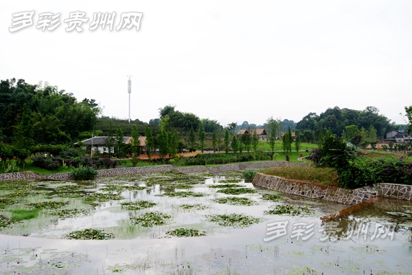 生态文明 扶贫开发 贵州赤水的“绿色法则”