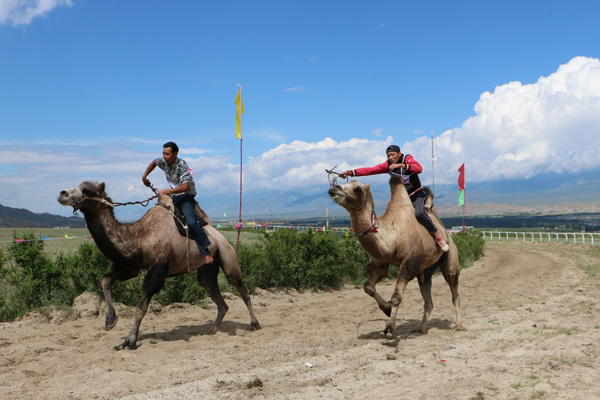 第二届新疆温泉文化旅游节在温泉县盛大开幕