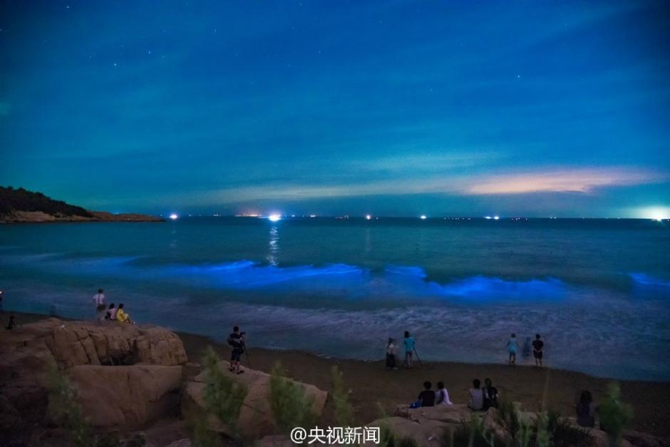 福建海滩现绝美“蓝海”宛如仙境