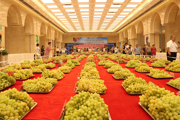 第二十五届中吐鲁番葡萄节暨首届宝玉奇石博览会开幕