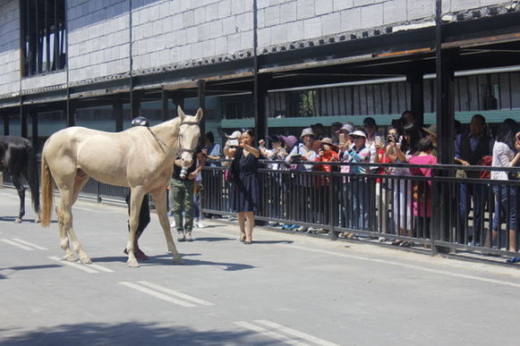 乌鲁木齐新增一处城市中心旅游目的地