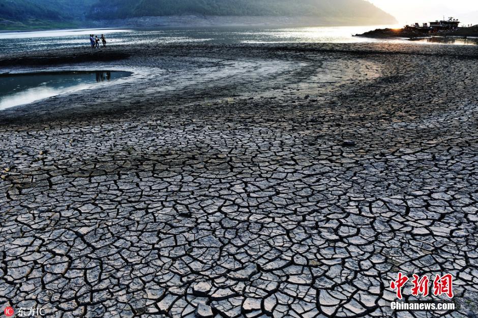 重庆高温下河滩干旱土地龟裂 场面壮观