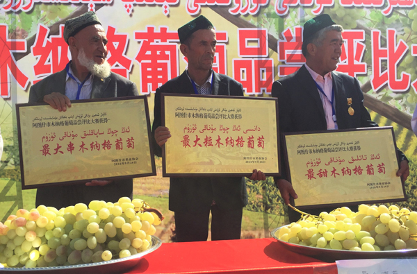 新疆阿图什市“最大粒木纳格葡萄”拍出2.3万元
