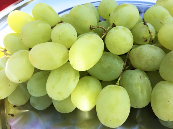 新疆阿图什市“最大粒木纳格葡萄”拍出2.3万元