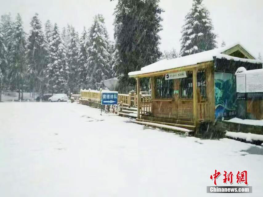 新疆天池飘落第一场雪 景色犹如水墨画
