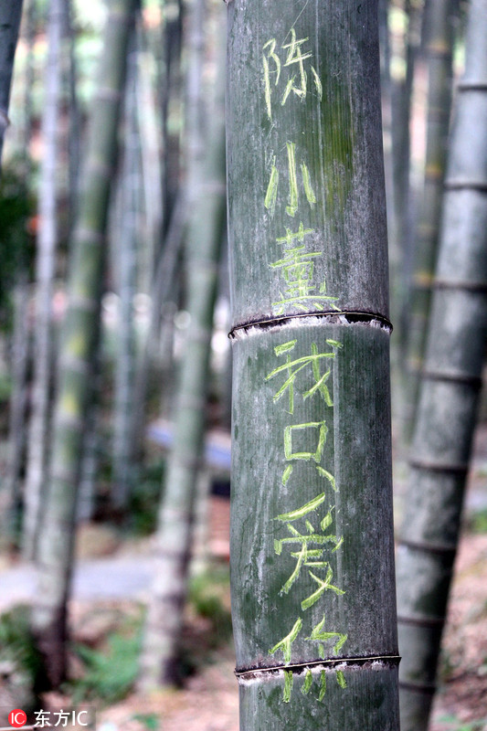 广东连山推出“刻字林”让游客爱刻就刻