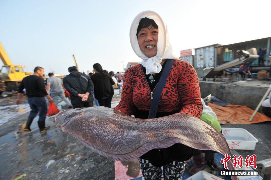 青岛渔村廉价海鲜抢手 近一米长罕见舌头鱼售价150元