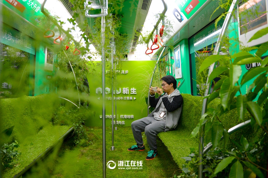 把森林搬进地铁 杭州这辆地铁一号线今天酷炸了
