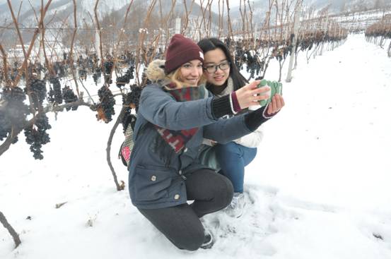 2016鸭绿江冰葡萄酒节在集安举行
