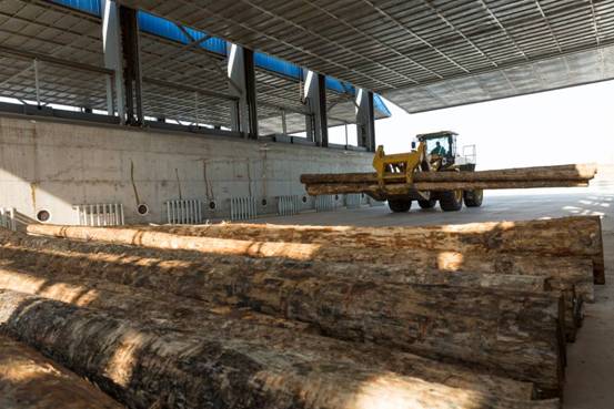 全国最大进境木材检疫处理区项目顺利通过验收