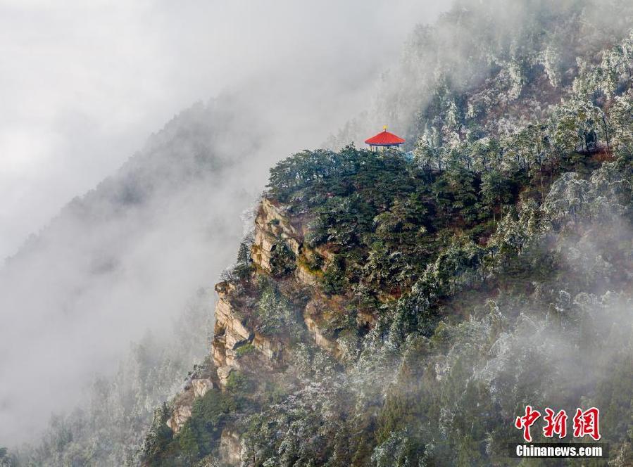 江西庐山现雾凇景观 如梦如幻似仙境