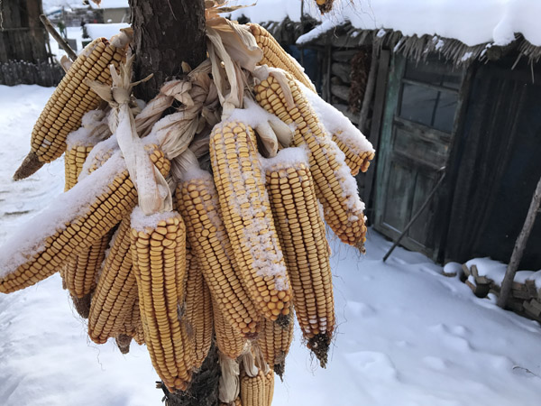 锦江木屋 林海雪原里的简单生活