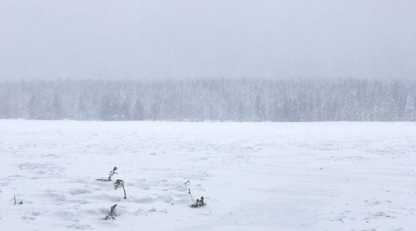 高山湿地上的雪国仙境——老里克湖
