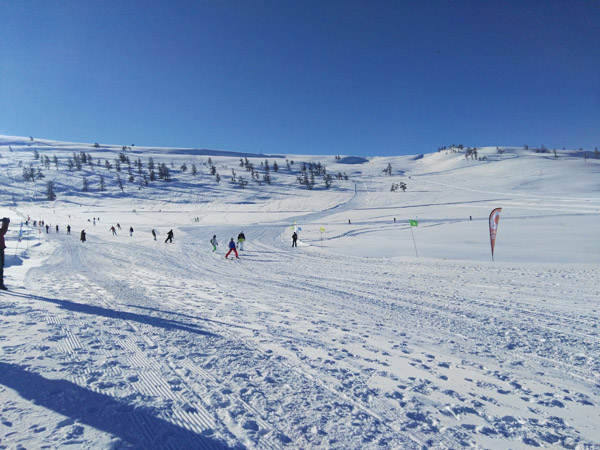 阿勒泰山野雪公园开滑