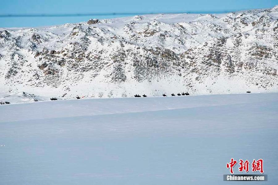 新疆布尔津县农牧民零下20多度玩刁羊赛马