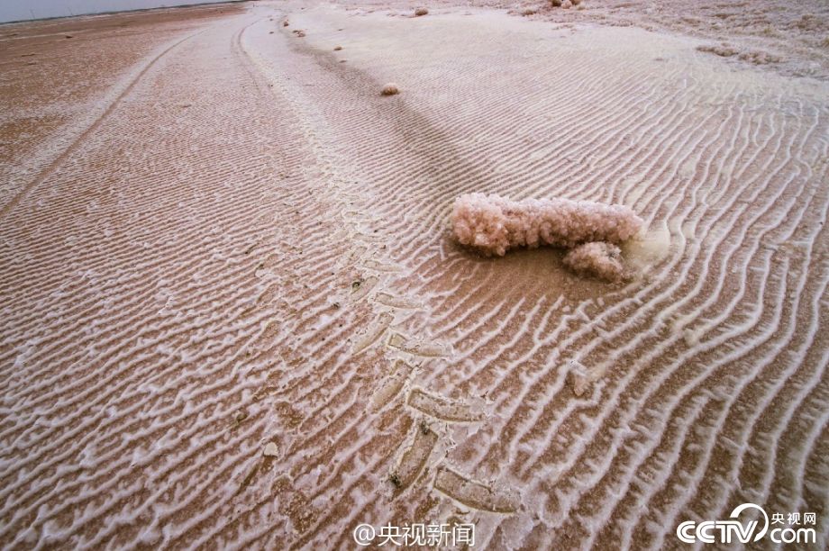 山西运城盐池形成“粉红沙漠”奇观
