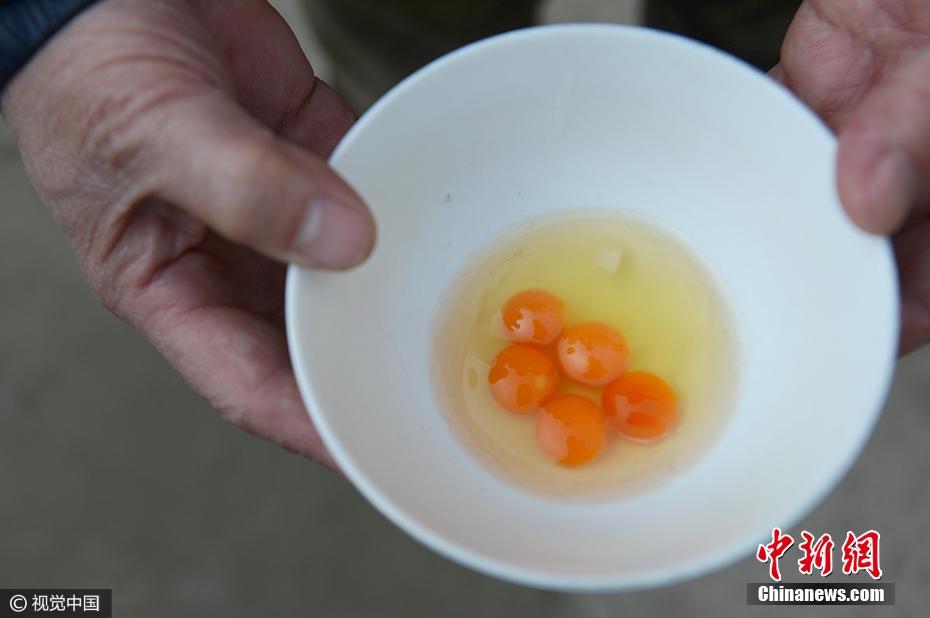 活久见！武汉市民买鸡蛋现“一蛋五黄”