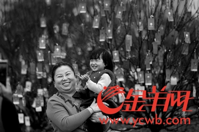 春节7天广州深圳旅游收入均近百亿 自驾旅游唱主角