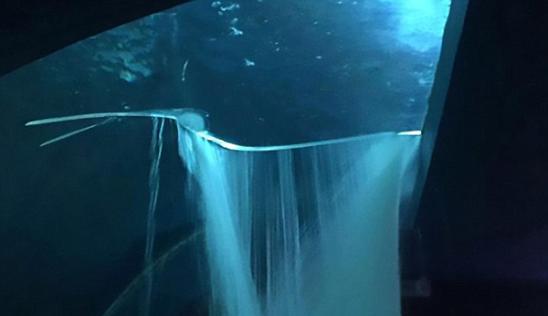 墨西哥一水族馆水箱破裂 13条鲨鱼“上街”(图)