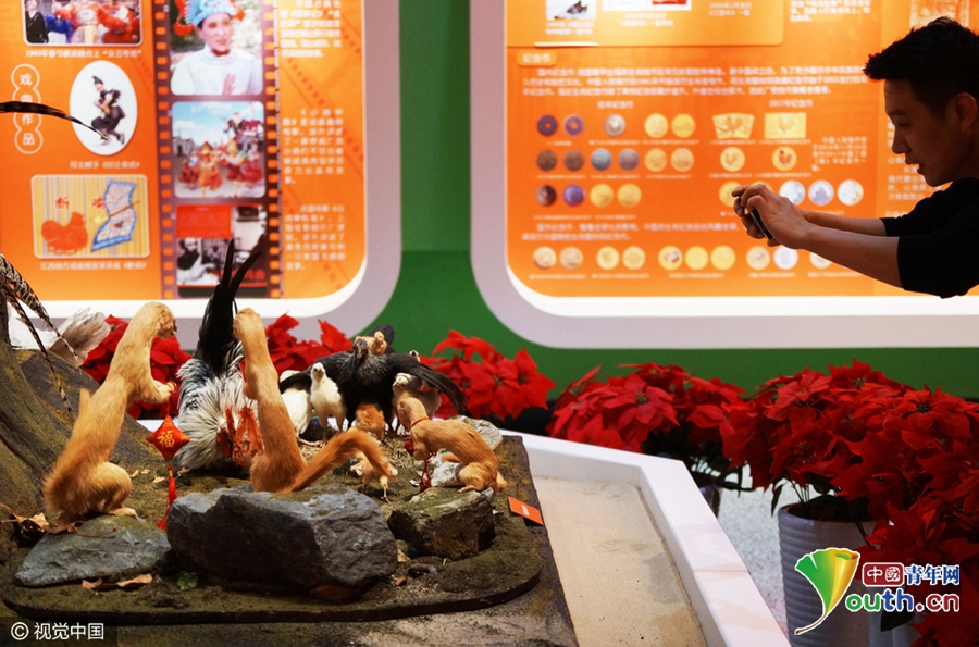 天津自然博物馆“黄鼠狼给鸡拜年”场景夺人眼球