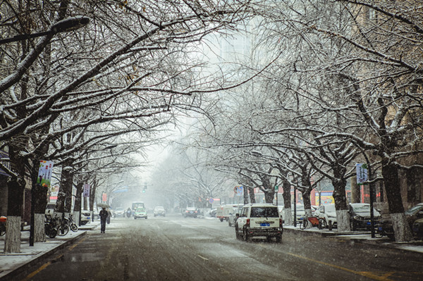 “约会”难得一见的雪凇美景
