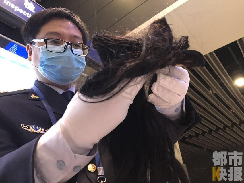 西安咸阳机场首次截获人发 头发油腻似有头皮屑
