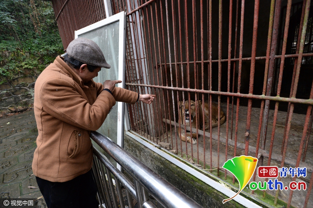 重庆现“袖珍动物园” 生存环境恶劣动物生无可恋
