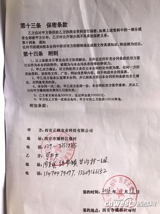 周至男子贷款两万养兔子被骗 上百只兔子在家没辙