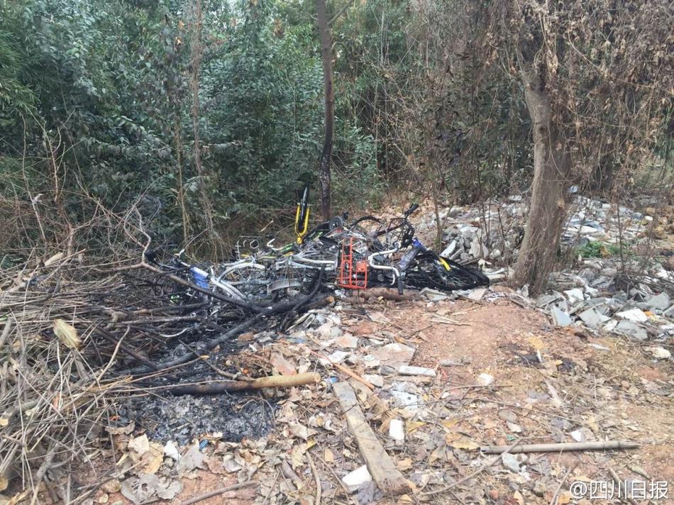 四川共享单车被丢弃树林 遭放火焚烧