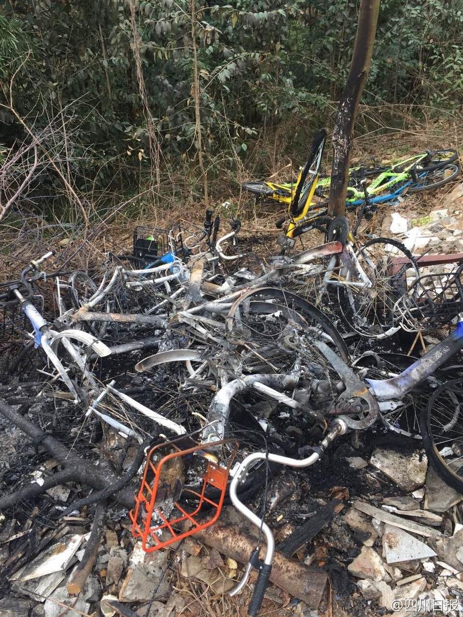 四川共享单车被丢弃树林 遭放火焚烧