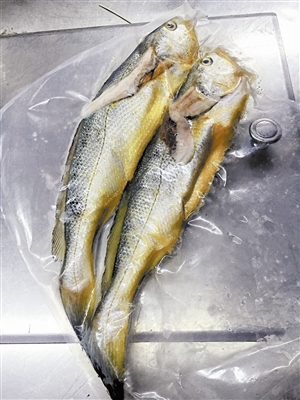 深圳：两条小黄鱼“吃”掉顾客4628元
