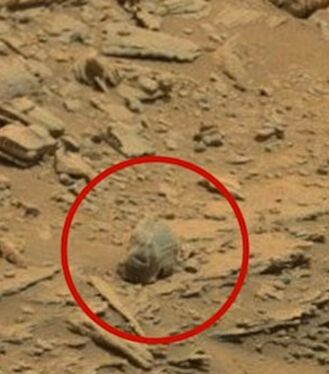 NASA发火星高清照 揭科幻片场景真实地形