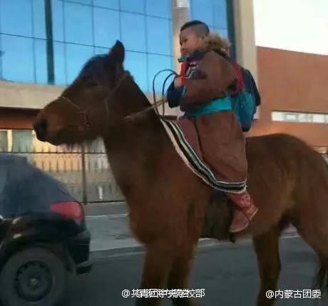 彻底解释不清了！内蒙古小学生骑马上学