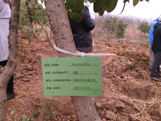 湖北省外国专家局组织第十七届“外国专家植树”活动