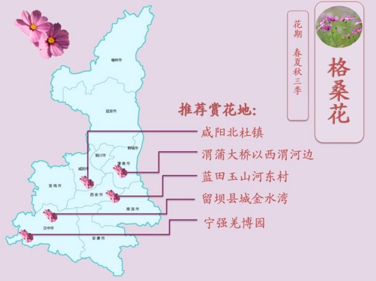 别无二家！最新最全2017陕西赏花地图
