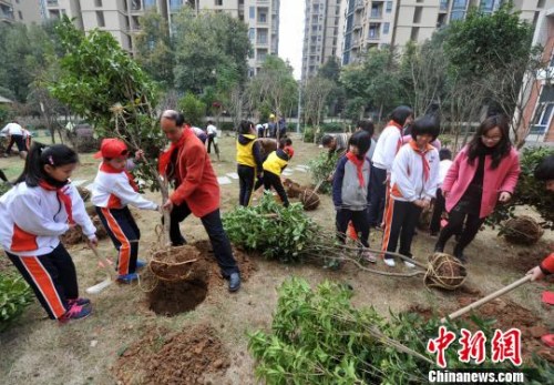 “春回人间” 中国民间兴起植树热