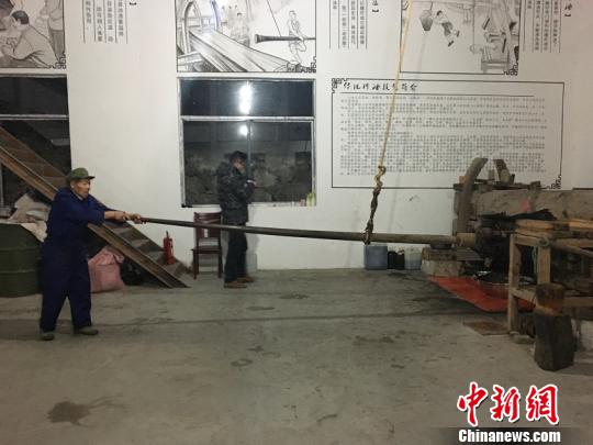 浙江常山激活油茶生态链 “绿色油库”添色致富样本