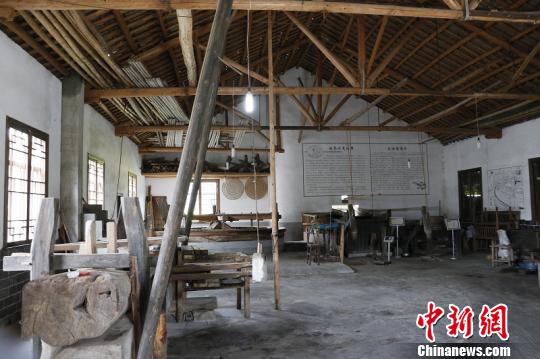 浙江常山激活油茶生态链 “绿色油库”添色致富样本