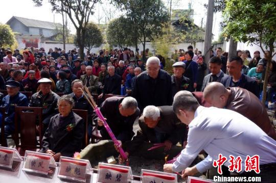 传承百年家风 成都杨氏宗族清明祭祖大会在成都温江举行