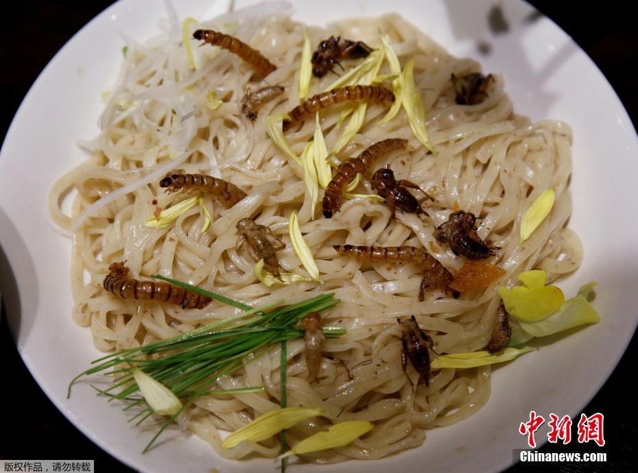 日本推出昆虫拉面 食客排长队品尝暗黑料理