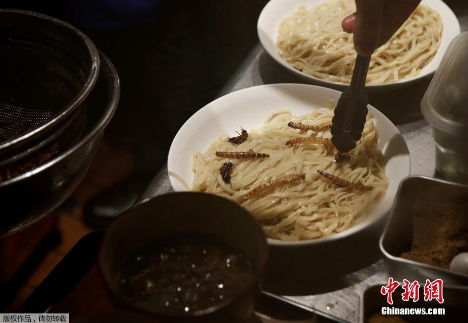 日本推出昆虫拉面 食客排长队品尝暗黑料理