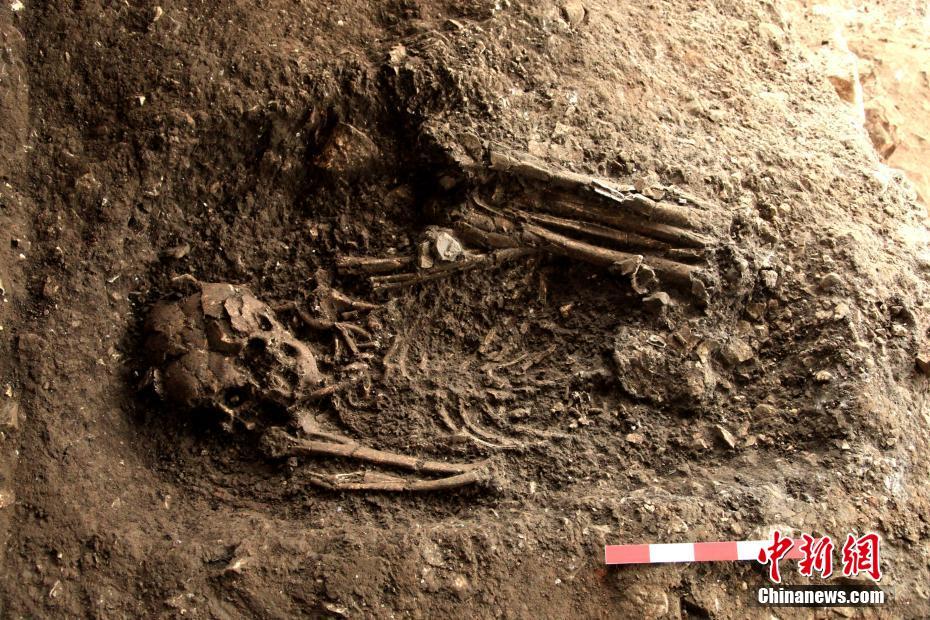 2016年度全国十大考古新发现揭晓
