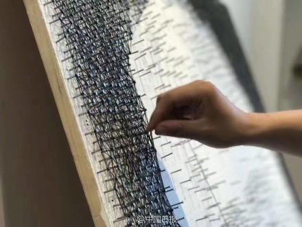 武汉大学生用9000颗钉子画出梦露