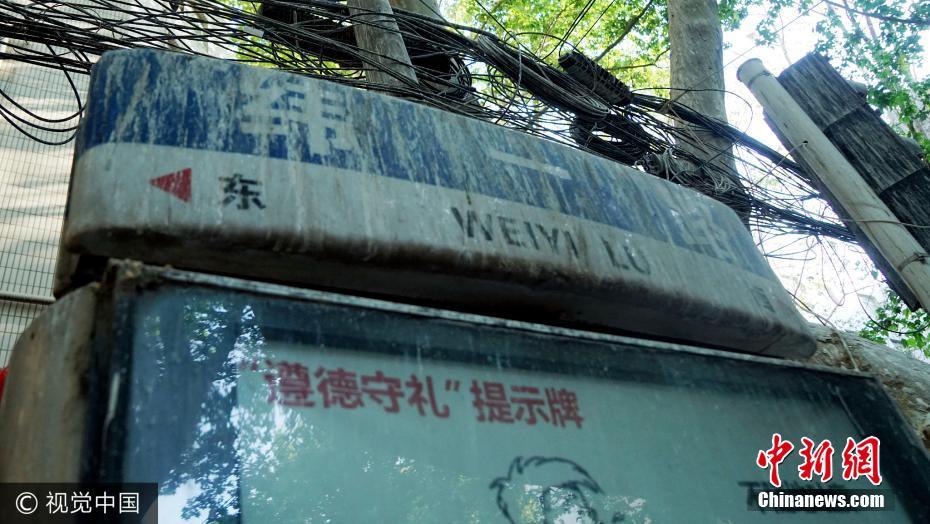 郑州一道路被称“天屎之路” 树下鸟粪密集