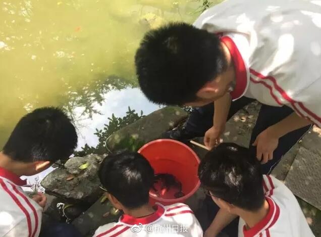 杭州一中学小龙虾“泛滥” 学生钓龙虾丰富生活