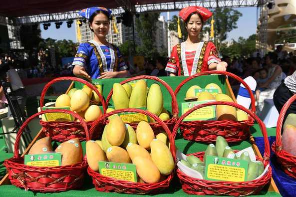 甘肃兰州：“中国芒果之乡”百色专场推介会举行