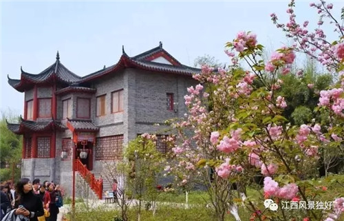 赣南客家名人(樱花锦绣)公园